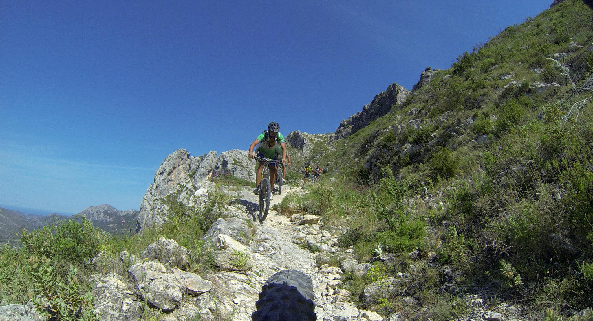 Transvalls 2014